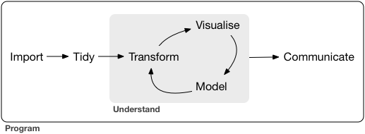 The process of EDA (import to tidy then to an iterative circle of transform, visualize, model, and finally communicate), as described by Grolemund and Wickham.